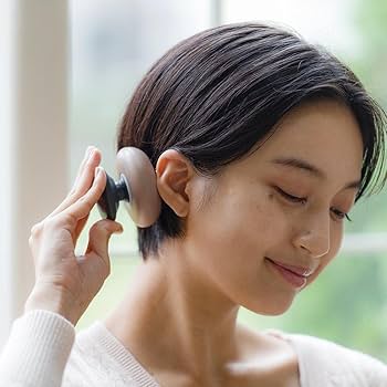 Amazon.co.jp: HATACHI(ハタチ) リセットローラーHEAD NH3740